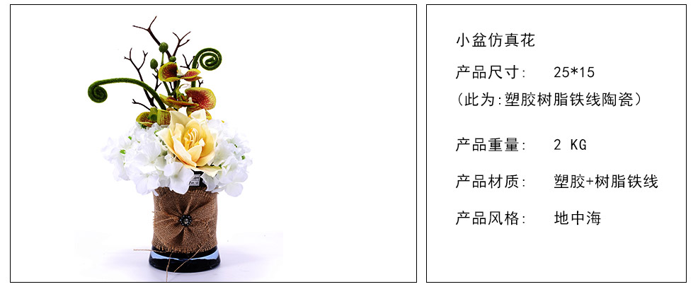 小盆蕨菜、蝴蝶兰、君子兰混式仿真花XL-1010-0084