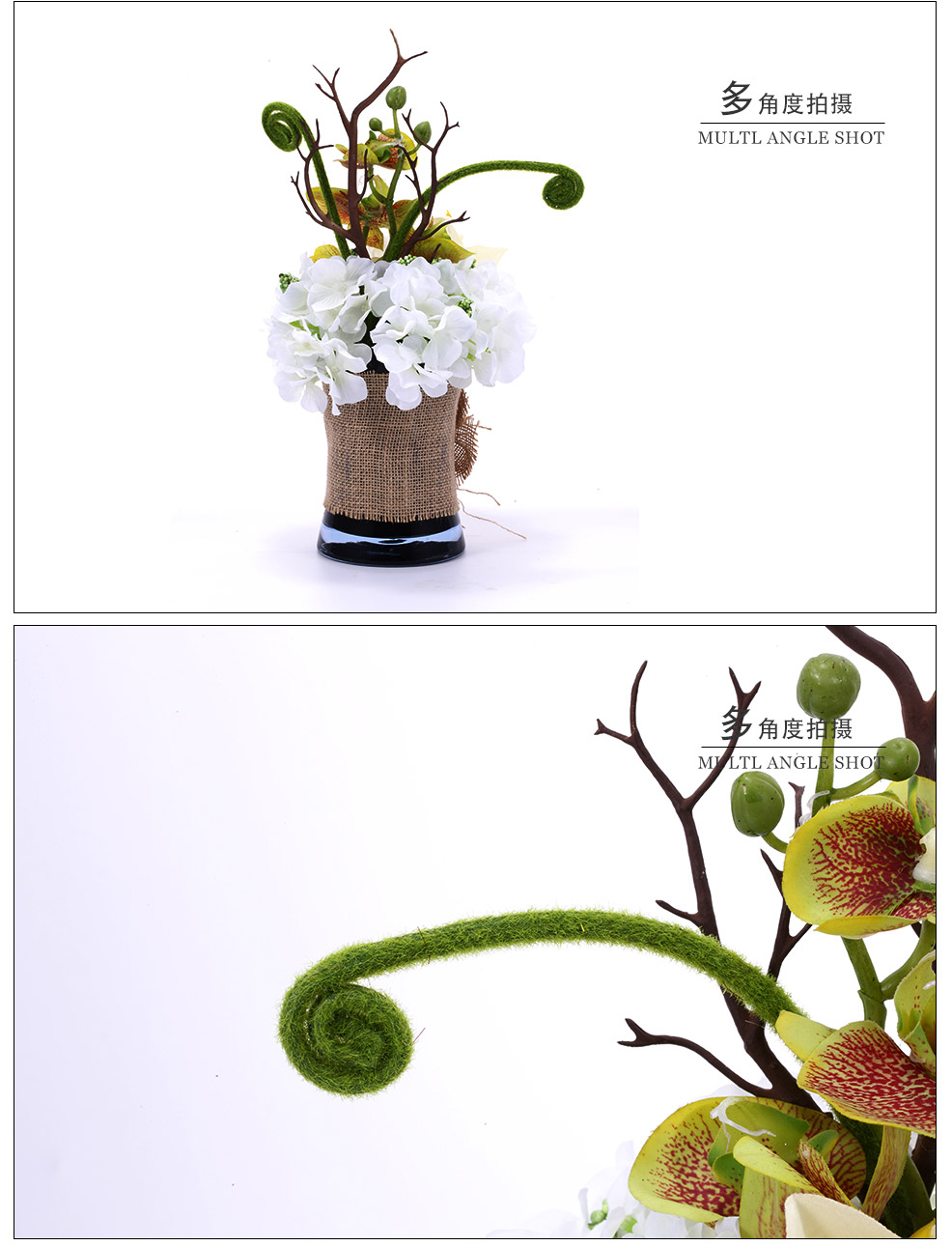 小盆蕨菜、蝴蝶兰、君子兰混式仿真花XL-1010-0082