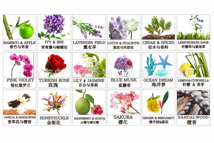 热销无火香薰通草花南瓜陶瓷瓶礼盒套装干花香熏香氛精油A-206