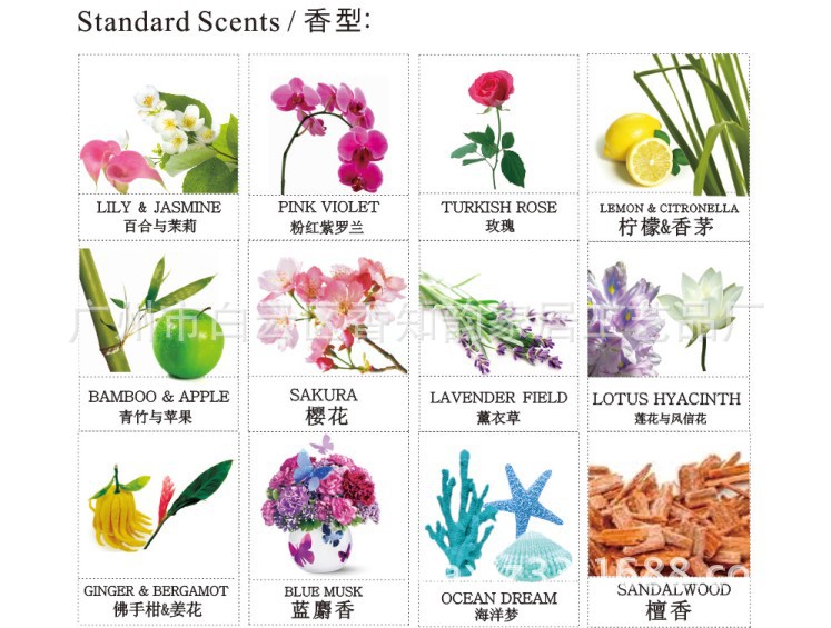 热销无火香薰通草花南瓜陶瓷瓶礼盒套装干花香熏香氛精油A-207