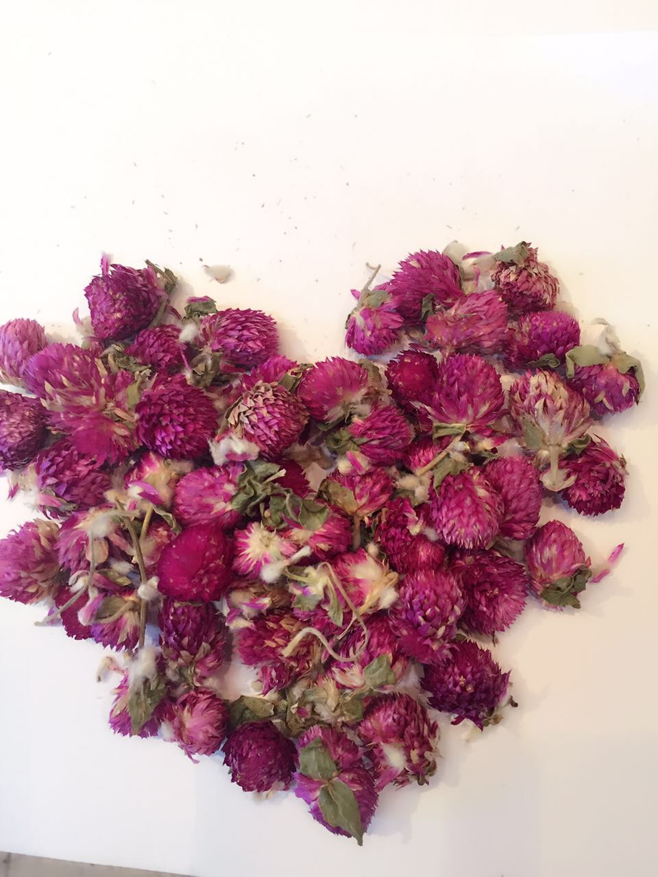 千日紫 千日红 批发  泡茶 泡澡1
