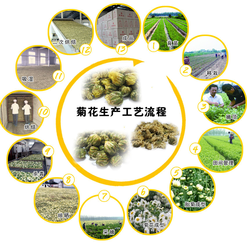 千日紫 千日红 批发  泡茶 泡澡4
