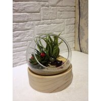 现代简约木底座圆球微景观仿真植物家居装饰