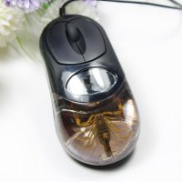 蝎子王昆虫琥珀精品鼠标  厂家直销蝎子王系列光电鼠标