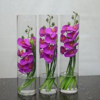 高仿真蝴蝶兰套装假水玻璃花器仿真花仿真植物