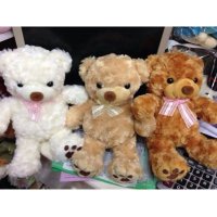 毛绒公仔中号绣脚熊