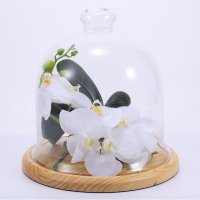 现代简欧风格木底玻璃蛋糕盘面包点心水果盘子玻璃罩压克力盖西点托盘GZ020