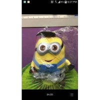 10寸博士小黄人