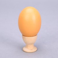 木鸡蛋（蛋托）实木仿真鸡蛋蛋托儿童手绘自绘彩绘diy木制手工材料木质蛋托 AOE04