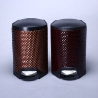 不锈钢时尚客厅垃圾筒 时尚创意钻纹花纹脚踏式垃圾桶 10LA-5