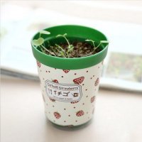 草莓栽培  创意办公室DIY植物可定制LOGO礼品厂家