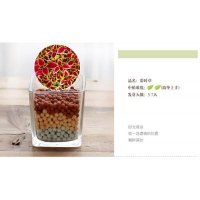 创意园艺绿色负离子盆栽简单便捷特色装饰