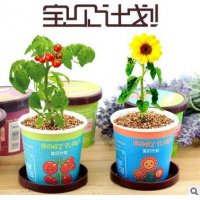 创意园艺宝贝计划绿色小盆栽亲子益智小礼物