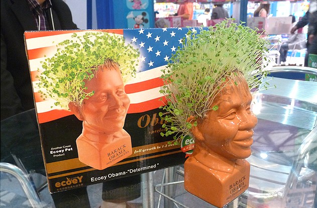 绿色创意奥巴马长头发系列盆栽4