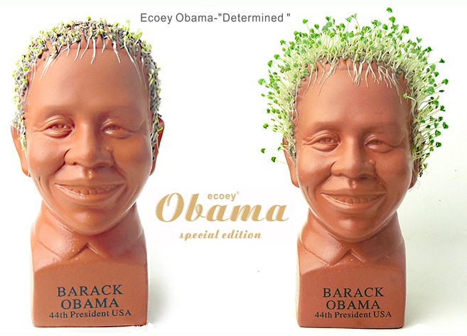 绿色创意奥巴马长头发系列盆栽8