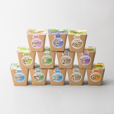 创意迷你星座花盆栽 办公室桌面绿色小植物 XZH