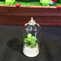 创意多肉植物小挂件 zakka工艺礼品 挂件车饰 迷你微景观多肉玻璃