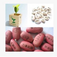 厂家直销 爱情魔法豆 爱情魔豆 魔豆种子批发 红色魔豆