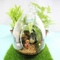 微景观成品套装 可倒置不散微景观生态瓶 苔藓景观瓶 花瓶