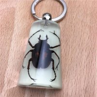不锈钢钥匙挂件昆虫标本人工琥珀钥匙扣创意礼品匙扣个性礼物