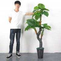 滴水观音发财树 绿植客厅盆栽假树酒店装饰假花仿真植物仿真绿萝仿真樱花树仿真桃花树仿真海枣树