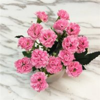 家居装饰高仿真植物花卉盆栽
