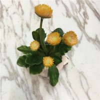 家居装饰高仿真植物花卉盆栽