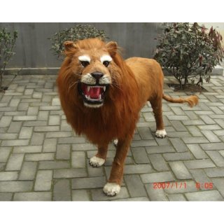 仿真狮子simulation lion H100*L133cm