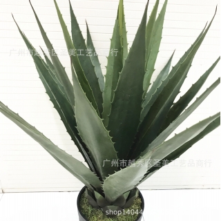 仿真植物剑麻盆景胶叶黄冠兰假树龙舌兰室内摆件热带植物