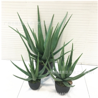 现货供应 仿真芦荟盆栽 多肉植物 绿植盆景 仙人掌 北欧风