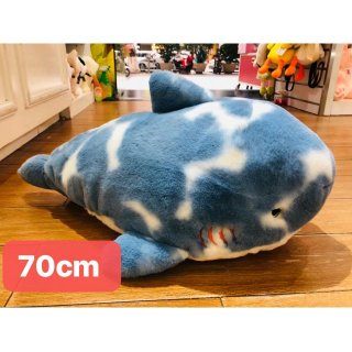 70cm花斑鲨鱼