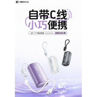 REMAX睿量 移动电源 10000mAh  WP-117