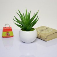 家居装饰仿真植物小树盆栽 仿真植物摆件装饰套装小圆盆+手指芦荟仿真套装FZS-011