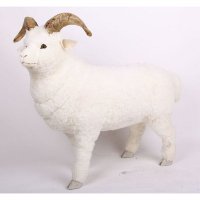 真皮真角真皮毛 小羊角羊头 办公桌摆件 家居摆件 羊头羊角标本YST-06