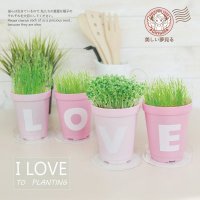 love栽培 创意办公室DIY植物可定制LOGO礼品厂家