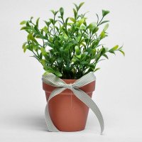 仿真植物豆芽草豆芽苗假豆芽假草盆景盆栽客厅卧室摆放花艺超逼真S61858