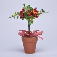 高仿真植物盆景398幸运果盆栽陶瓷盆栽植物装饰仿真小绿植盆栽室内仿真盆景635133